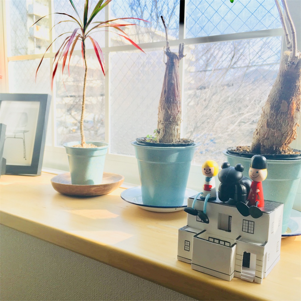 f:id:mashley_slt:20180123113337j:image