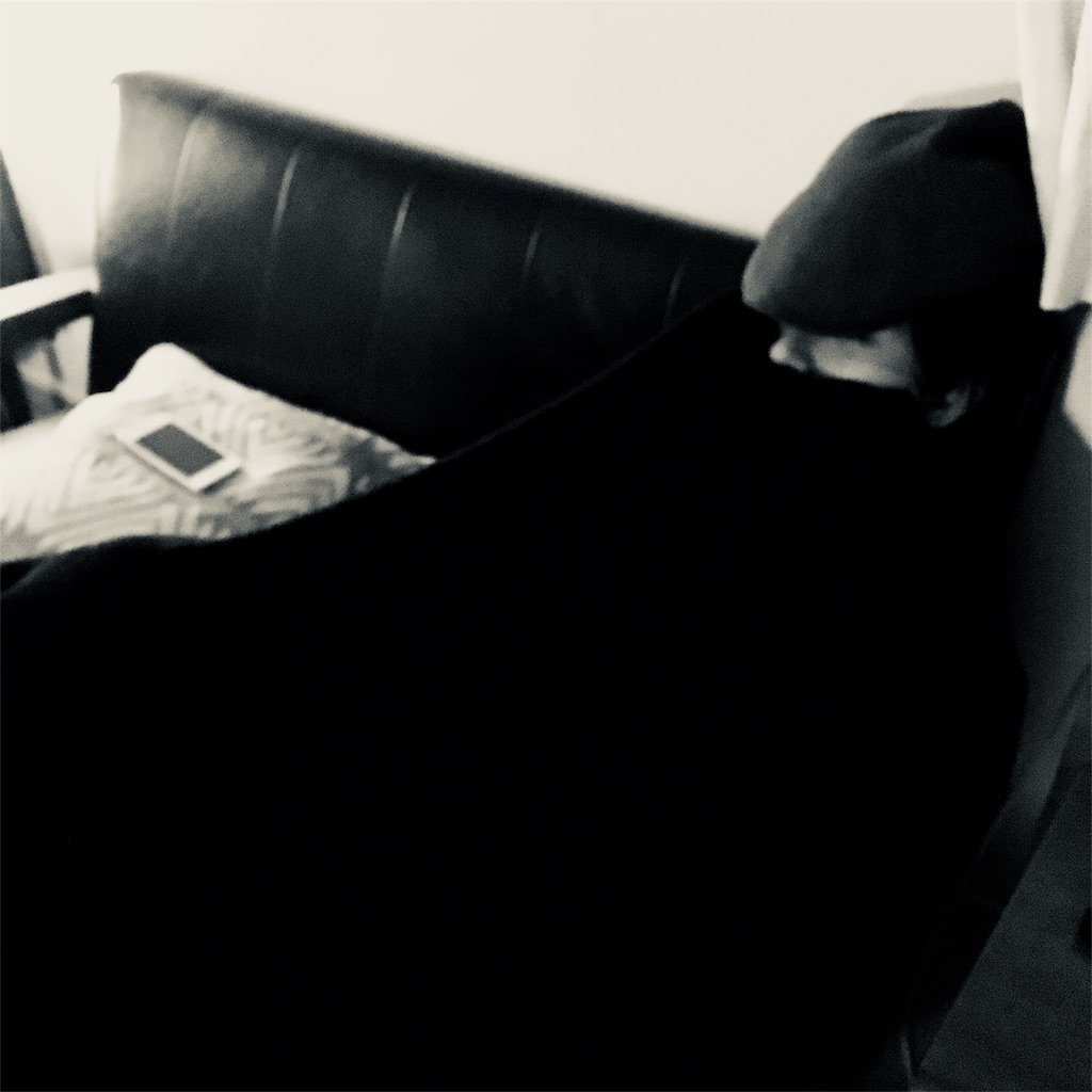 f:id:mashley_slt:20180125115624j:image