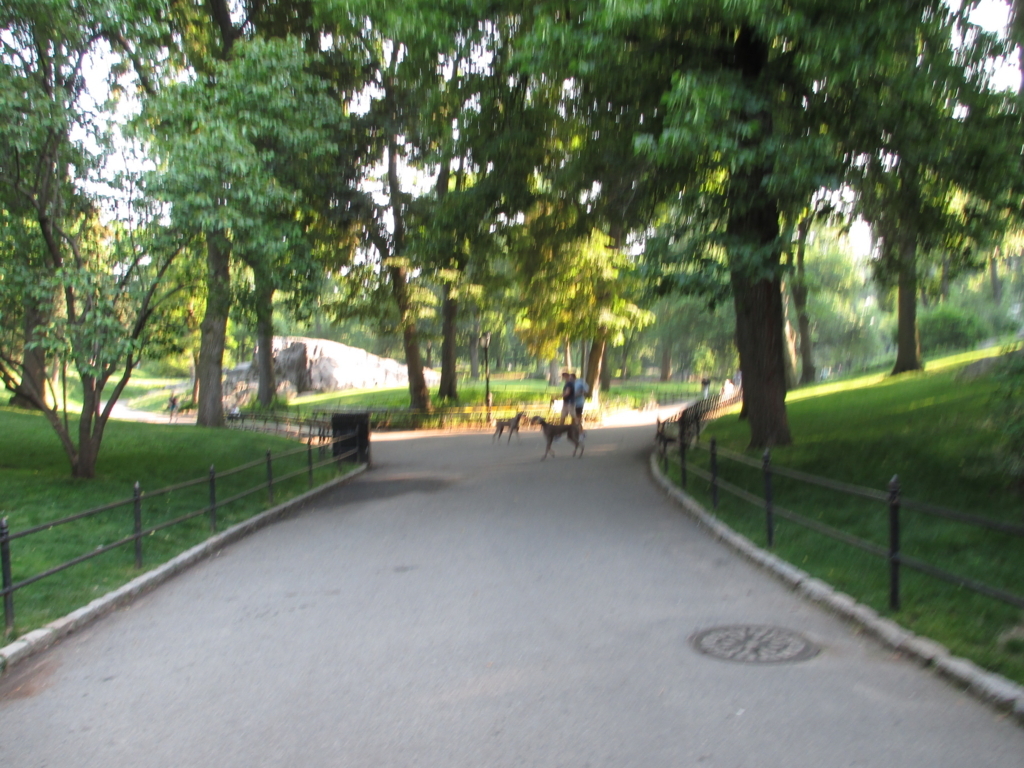 f:id:mashley_slt:20180131142645j:plain f:id:mashley_slt:20180131142645j:plain