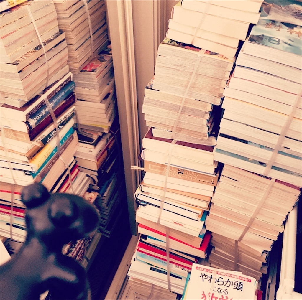 f:id:mashley_slt:20180204154011j:image