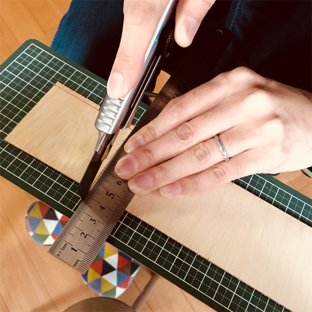 f:id:mashley_slt:20180208181532j:image f:id:mashley_slt:20180208181532j:image