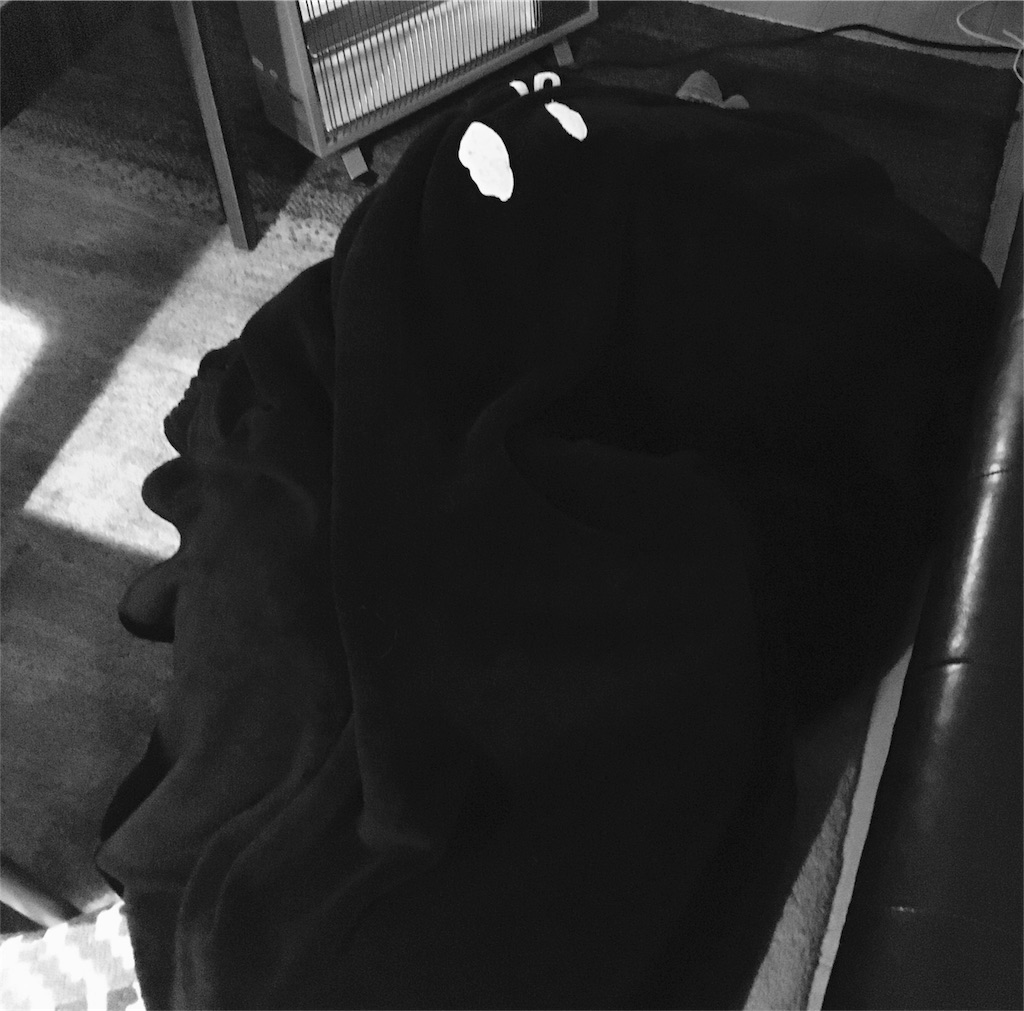 f:id:mashley_slt:20180208192108j:image f:id:mashley_slt:20180208192108j:image