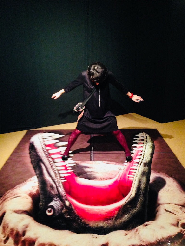 f:id:mashley_slt:20180219154431j:image