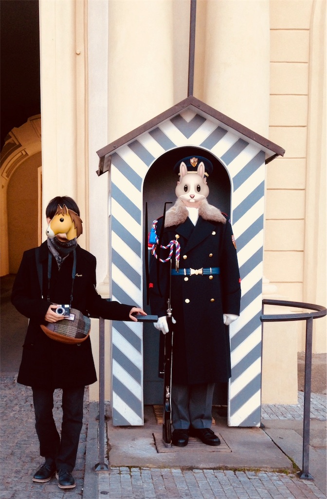 f:id:mashley_slt:20180219154910j:image