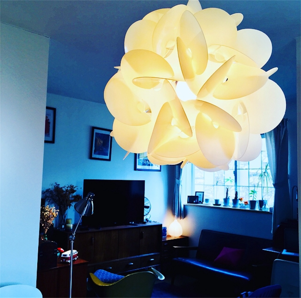 f:id:mashley_slt:20180221175044j:image