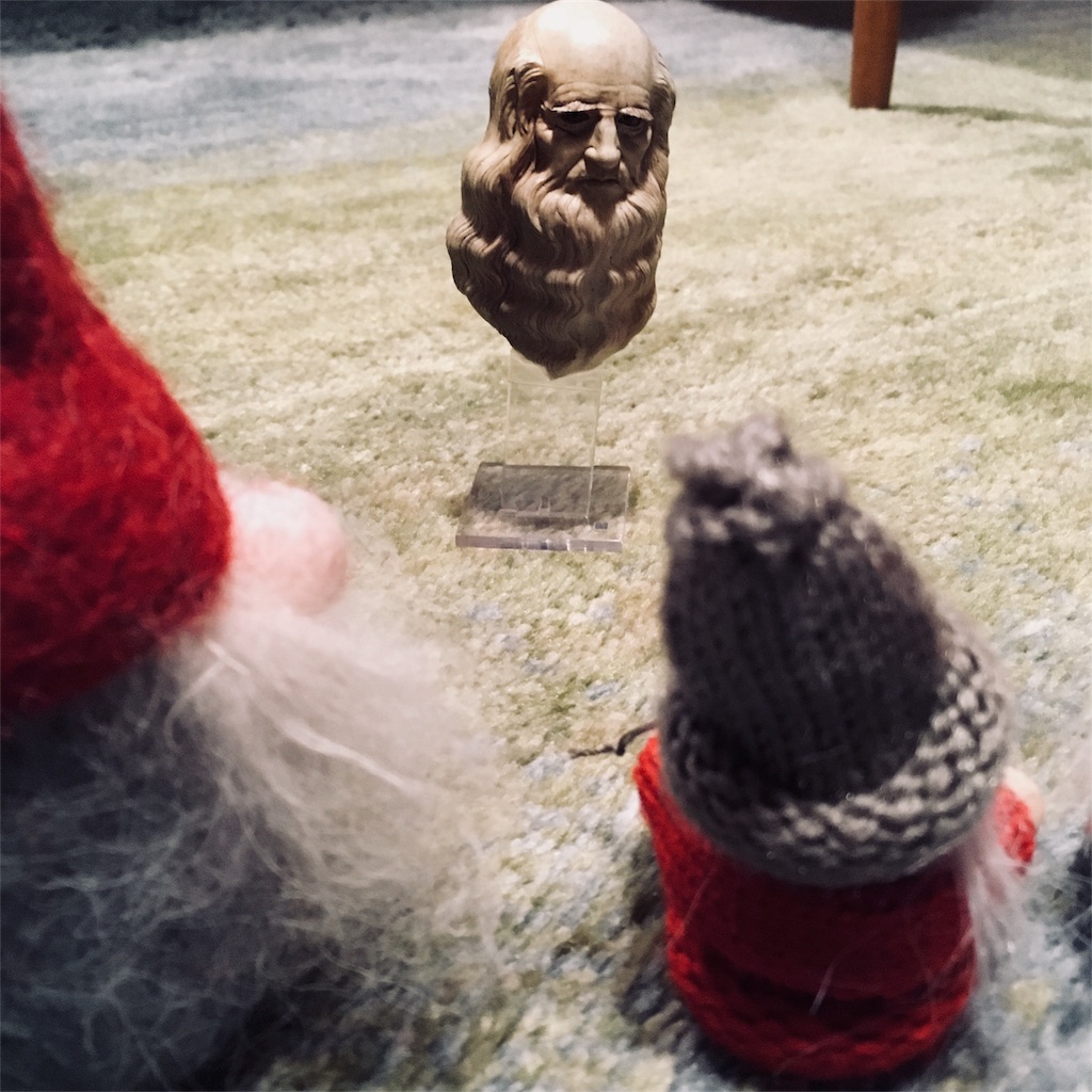 f:id:mashley_slt:20180221182238j:image