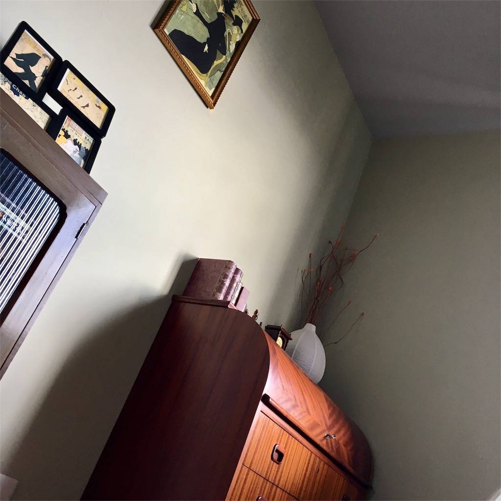 f:id:mashley_slt:20180512161612j:image