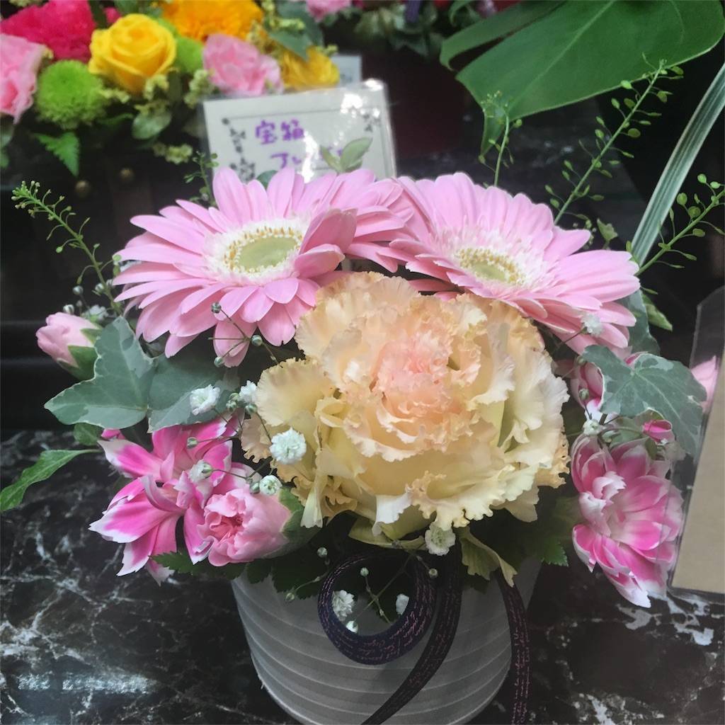 f:id:mashley_slt:20180527175729j:image f:id:mashley_slt:20180527175729j:image