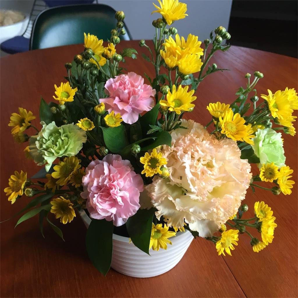 f:id:mashley_slt:20180527175833j:image f:id:mashley_slt:20180527175833j:image