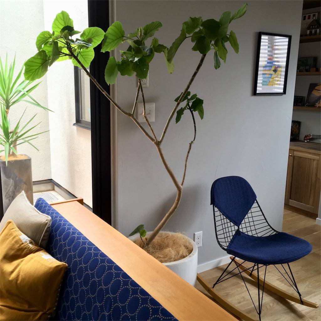 f:id:mashley_slt:20180528100600j:image f:id:mashley_slt:20180528100600j:image