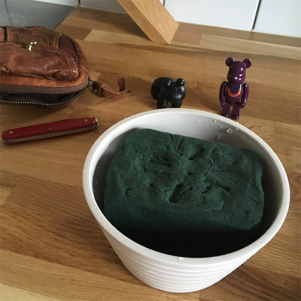 f:id:mashley_slt:20180528101422j:image f:id:mashley_slt:20180528101422j:image