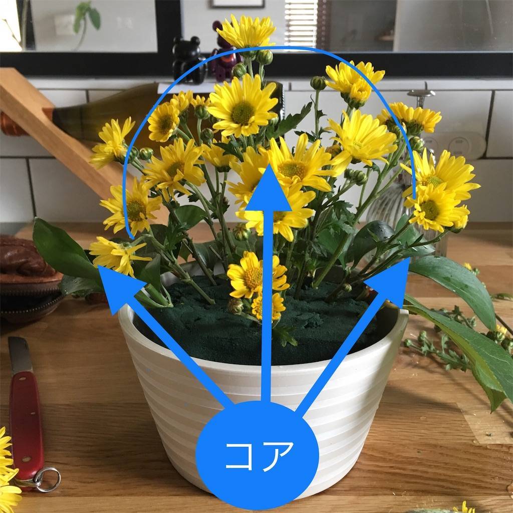 f:id:mashley_slt:20180528103306j:image f:id:mashley_slt:20180528103306j:image