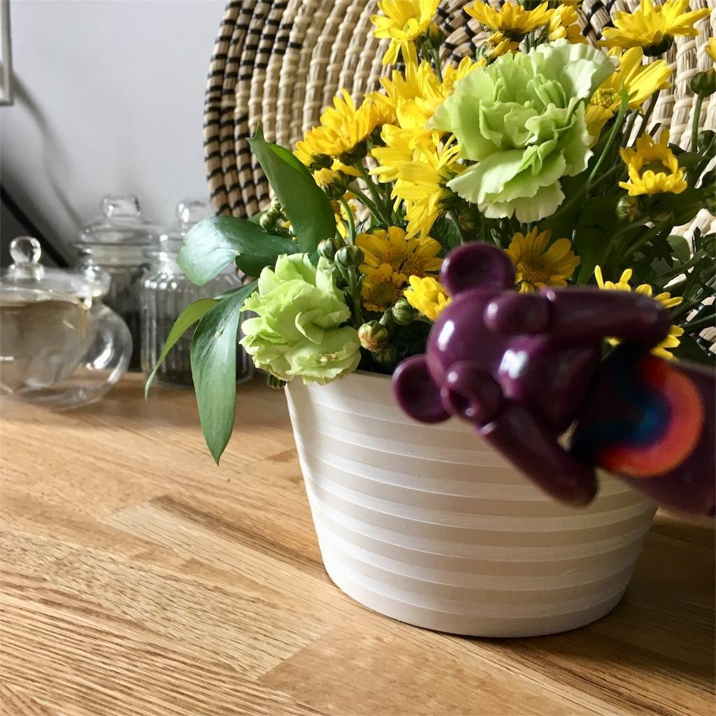 f:id:mashley_slt:20180528110730j:image f:id:mashley_slt:20180528110730j:image