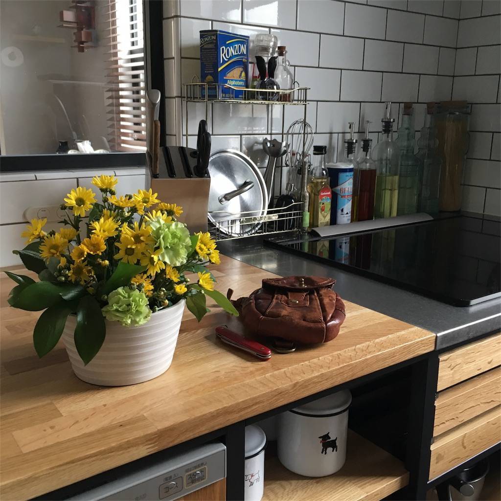 f:id:mashley_slt:20180528123501j:image