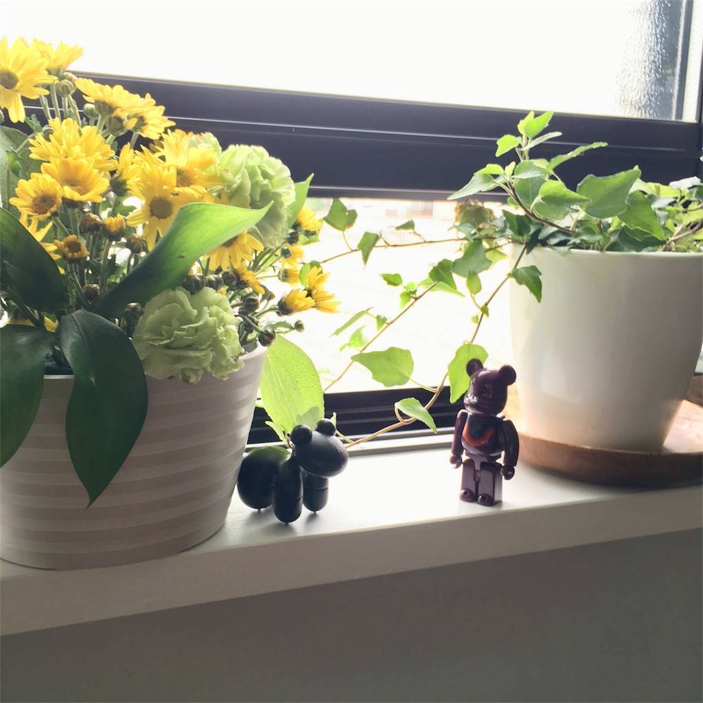 f:id:mashley_slt:20180528123642j:image