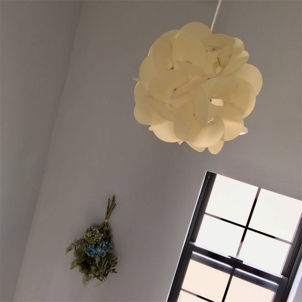 f:id:mashley_slt:20180528124450j:image