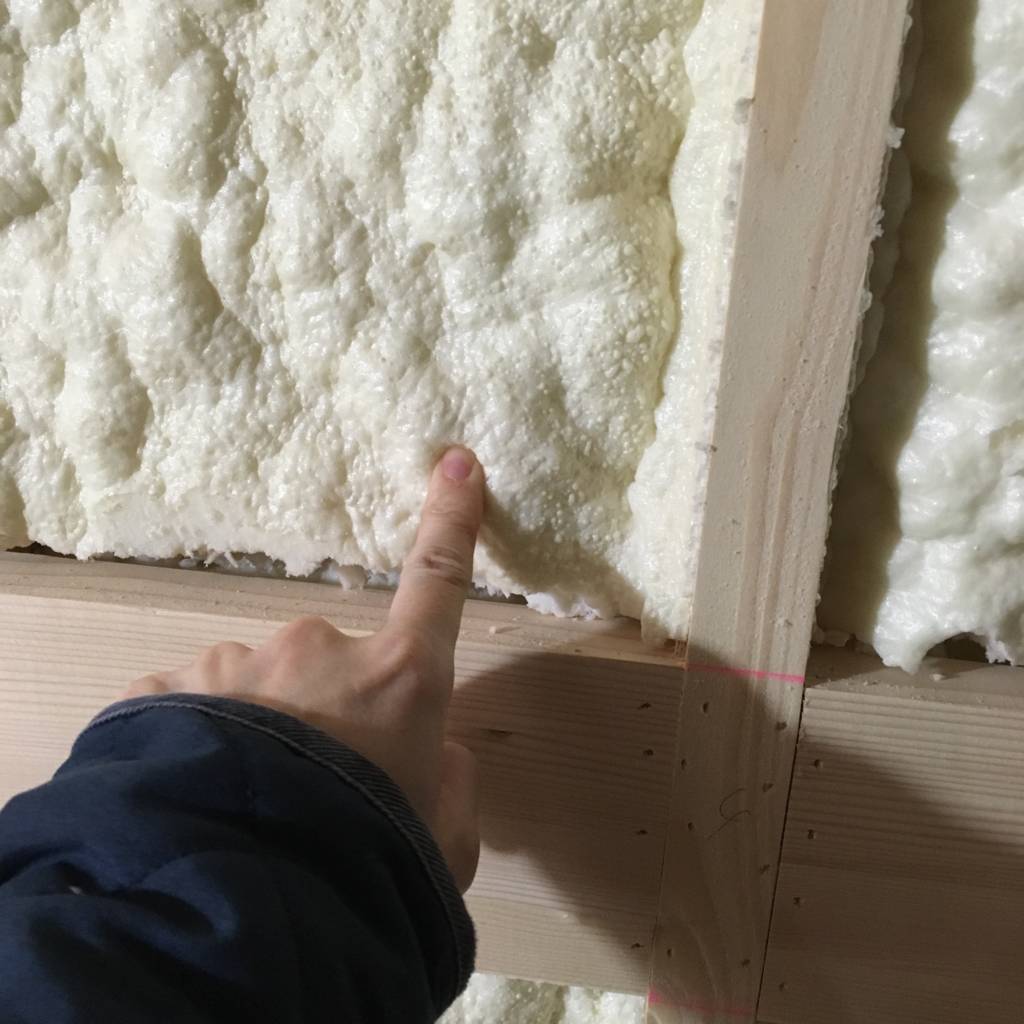 f:id:mashley_slt:20180531145132j:plain f:id:mashley_slt:20180531145132j:plain