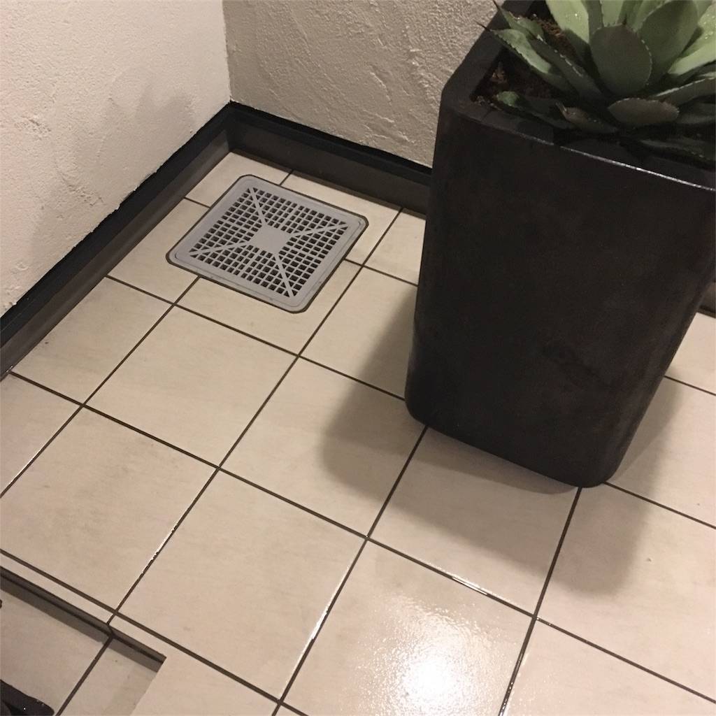 f:id:mashley_slt:20180607235342j:image