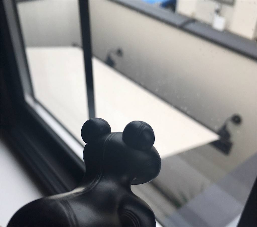 f:id:mashley_slt:20180608111018j:image