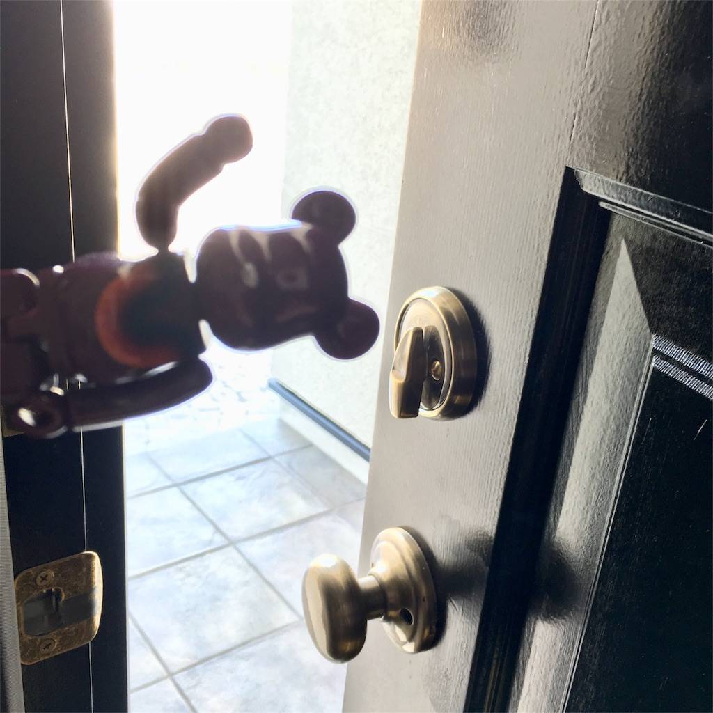 f:id:mashley_slt:20180609162058j:image