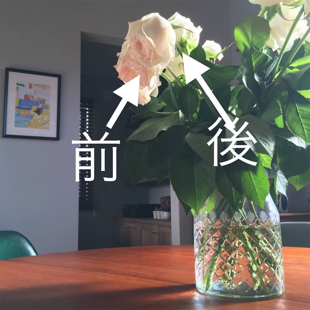f:id:mashley_slt:20180628160005j:image f:id:mashley_slt:20180628160005j:image