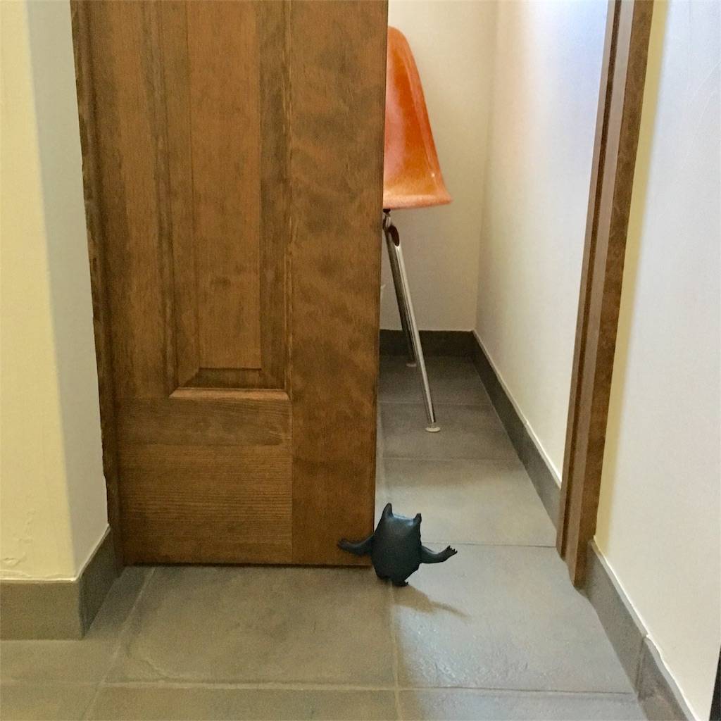 f:id:mashley_slt:20180702155101j:image