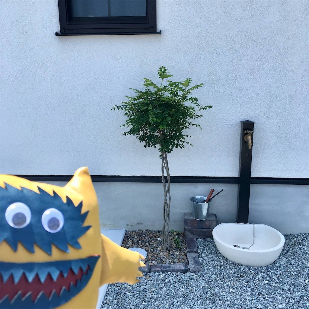 f:id:mashley_slt:20180714162813j:image f:id:mashley_slt:20180714162813j:image