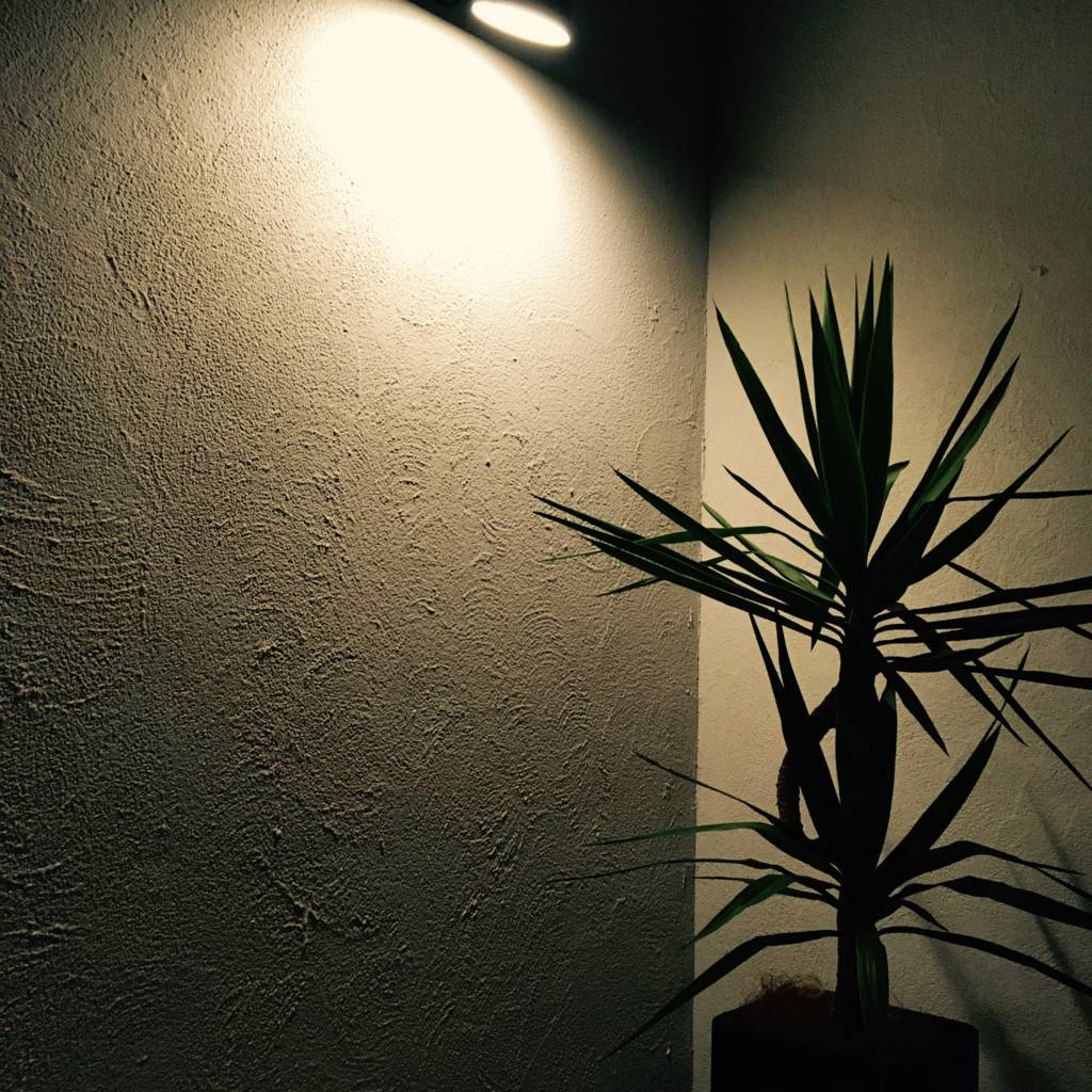 f:id:mashley_slt:20180727160531j:plain