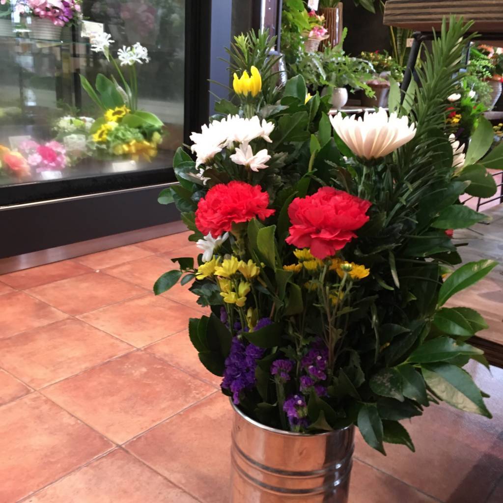 f:id:mashley_slt:20180811211207j:plain