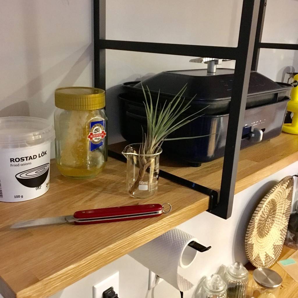 f:id:mashley_slt:20180811212712j:plain