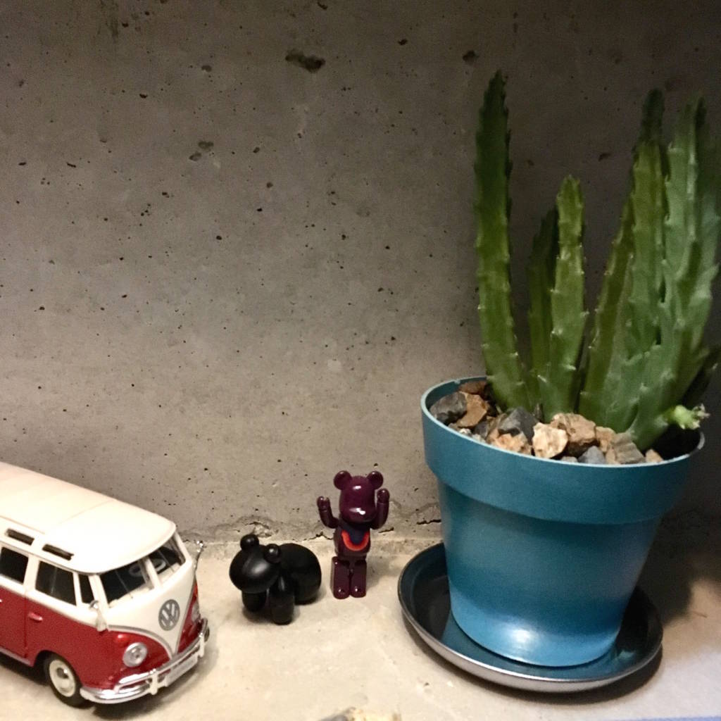 f:id:mashley_slt:20180812185111j:plain