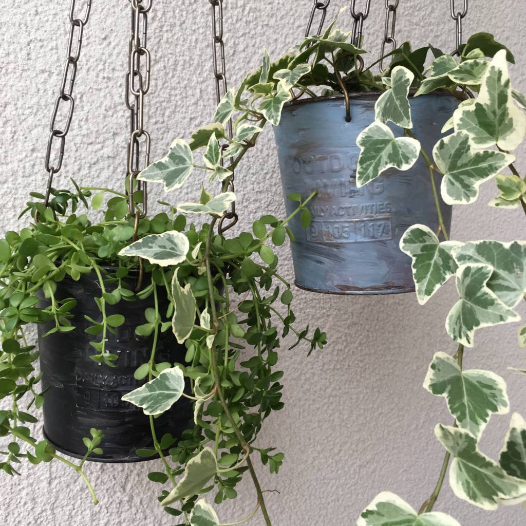 f:id:mashley_slt:20180817034152j:plain