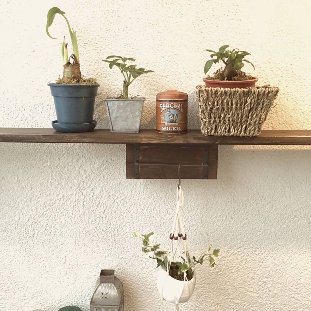 f:id:mashley_slt:20180817123026j:plain