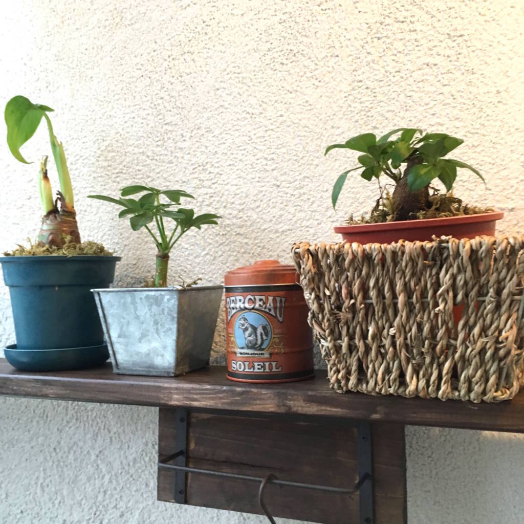 f:id:mashley_slt:20180817123212j:plain