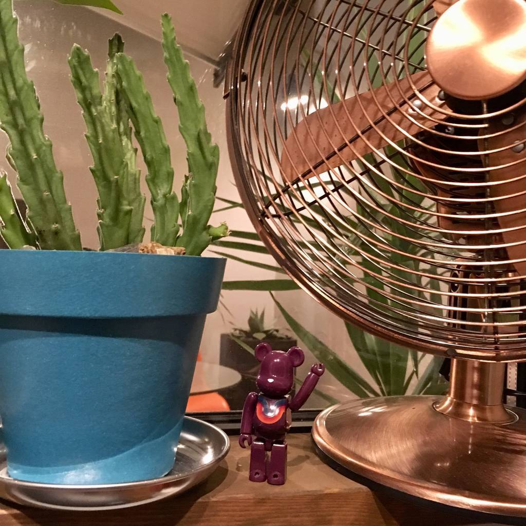 f:id:mashley_slt:20180913202041j:plain