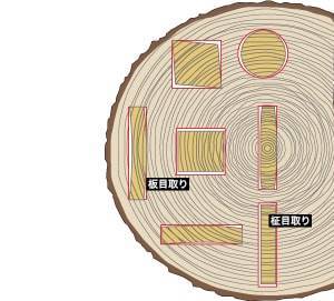 f:id:mashley_slt:20181103183223j:plain f:id:mashley_slt:20181103183223j:plain