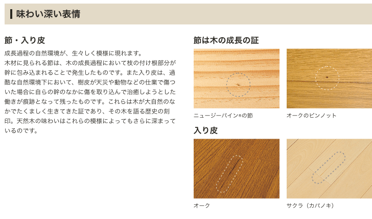 f:id:mashley_slt:20181103184510p:plain f:id:mashley_slt:20181103184510p:plain