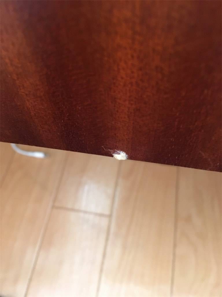 f:id:mashley_slt:20181212013630j:plain f:id:mashley_slt:20181212013630j:plain