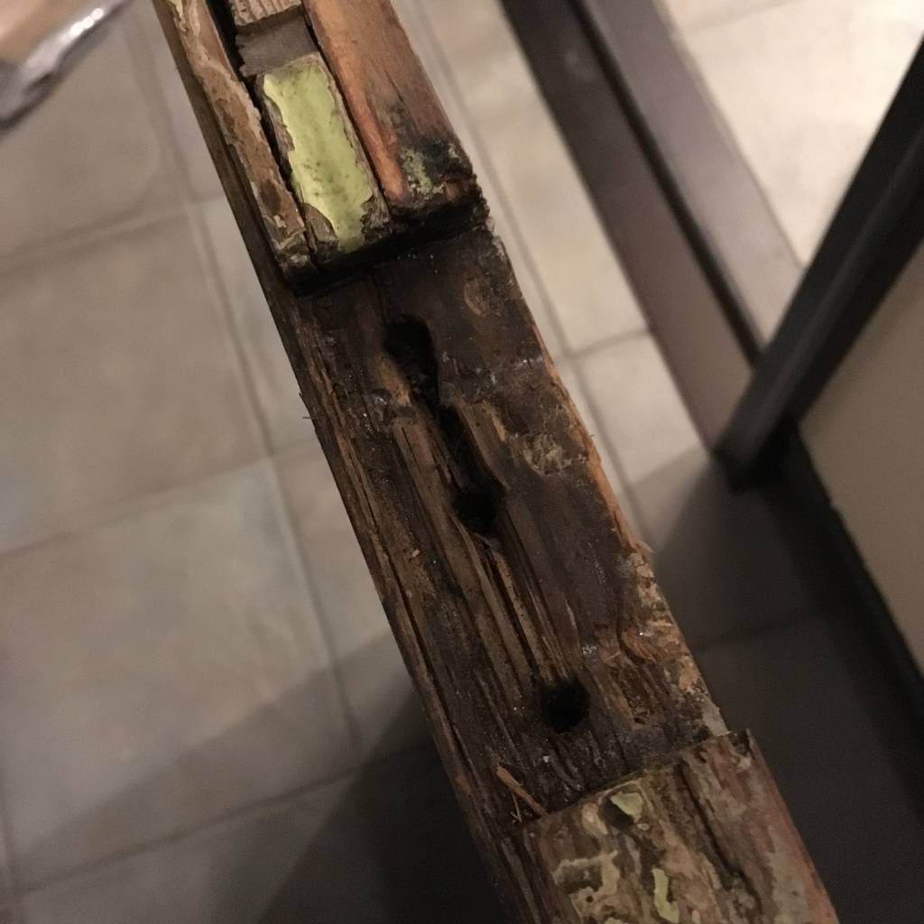 f:id:mashley_slt:20181212231834j:plain f:id:mashley_slt:20181212231834j:plain