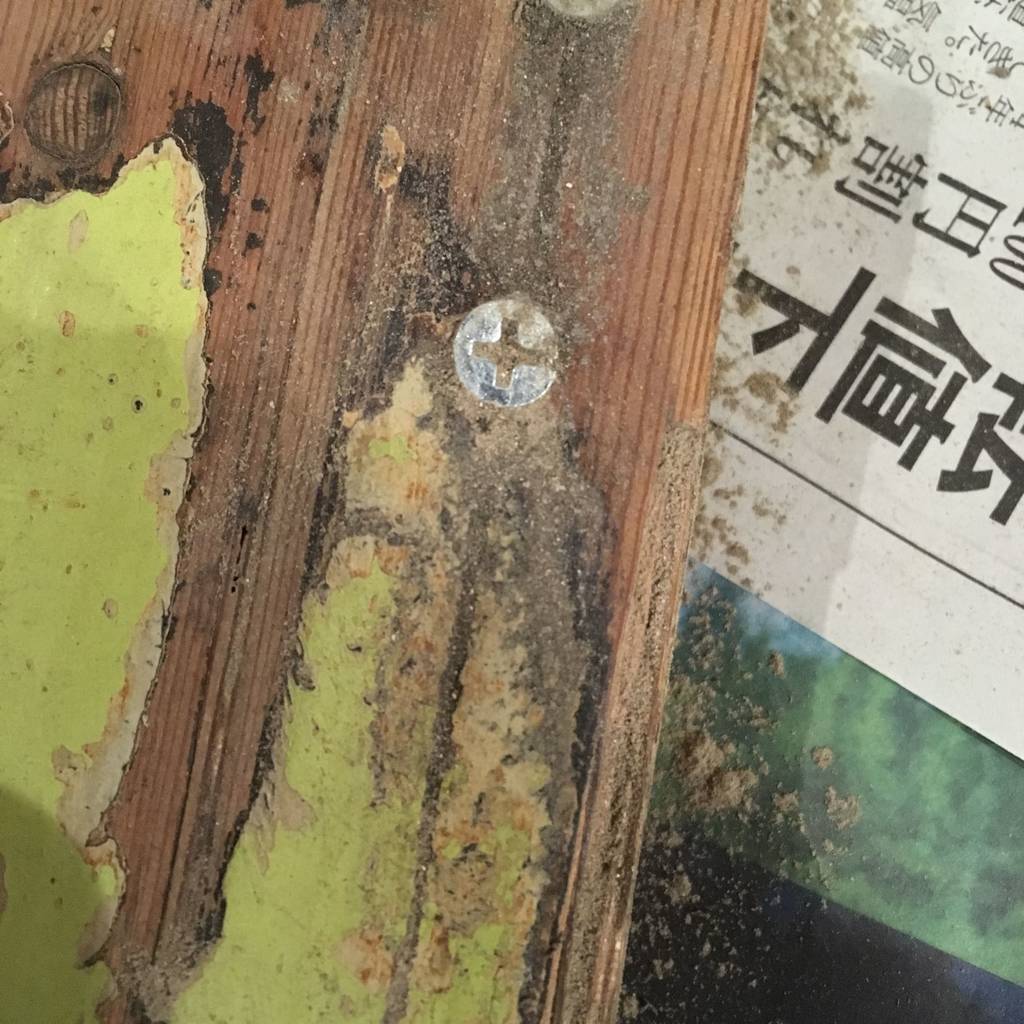 f:id:mashley_slt:20181212233951j:plain f:id:mashley_slt:20181212233951j:plain