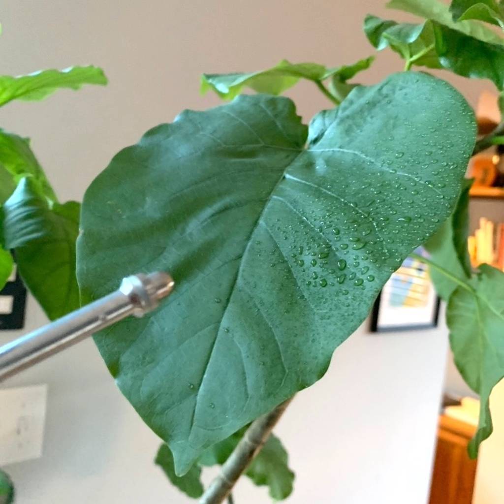 f:id:mashley_slt:20181218184104j:plain