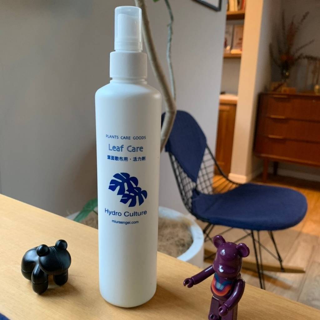 f:id:mashley_slt:20181218184457j:plain