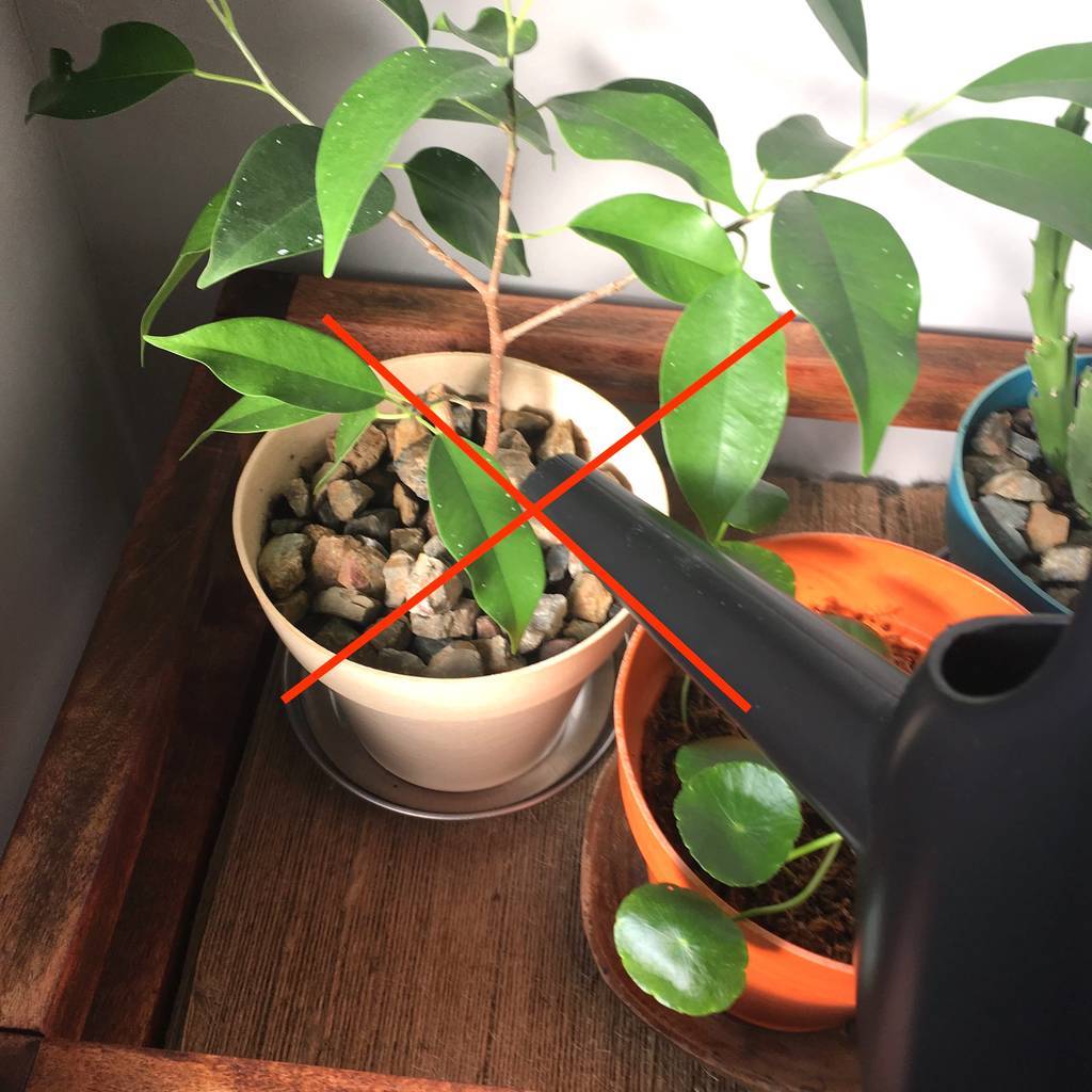 f:id:mashley_slt:20181218225755j:plain