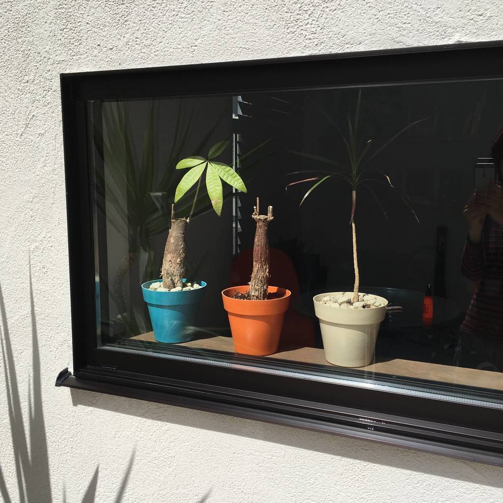 f:id:mashley_slt:20181218230456j:plain