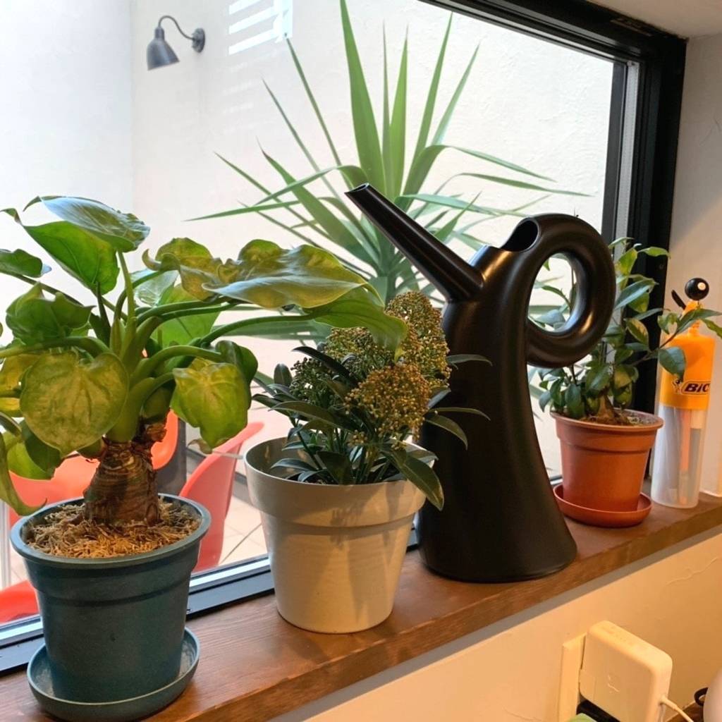 f:id:mashley_slt:20181218235616j:plain