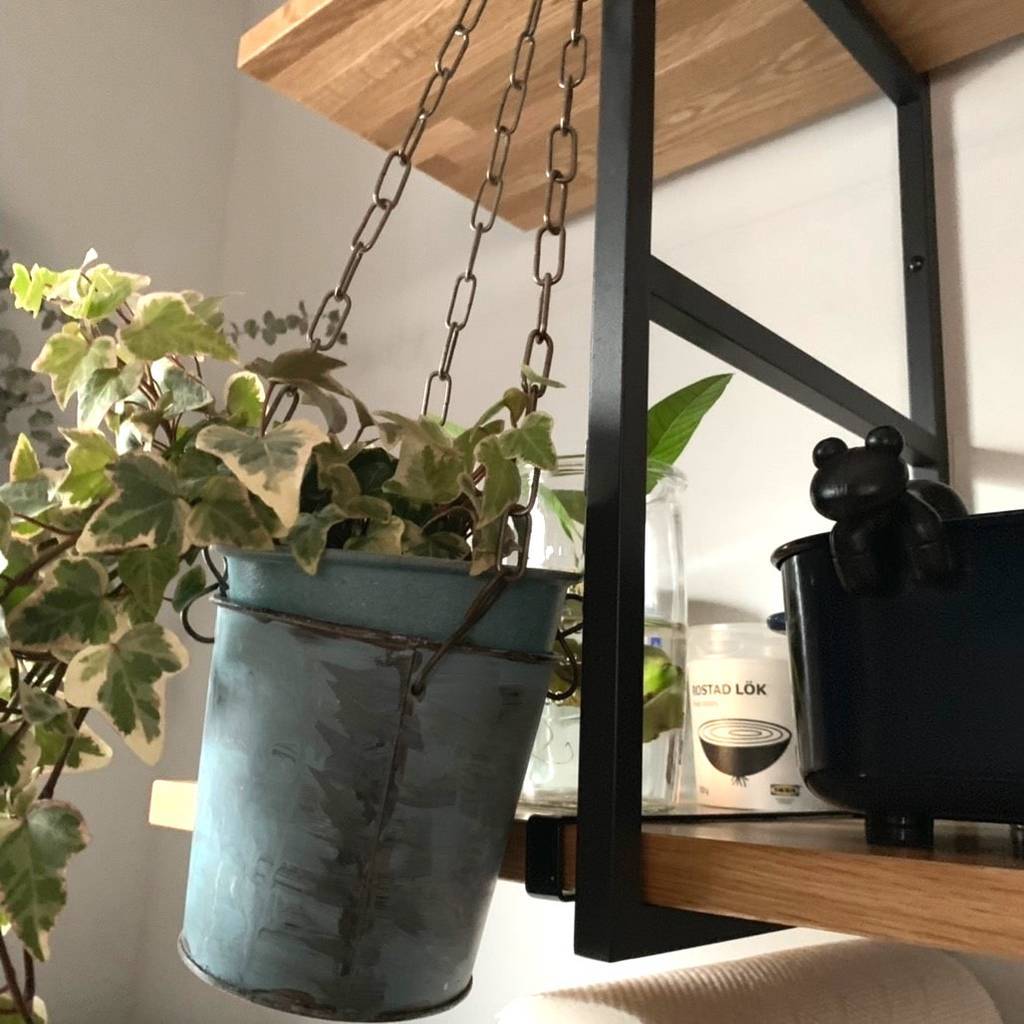 f:id:mashley_slt:20181218235642j:plain