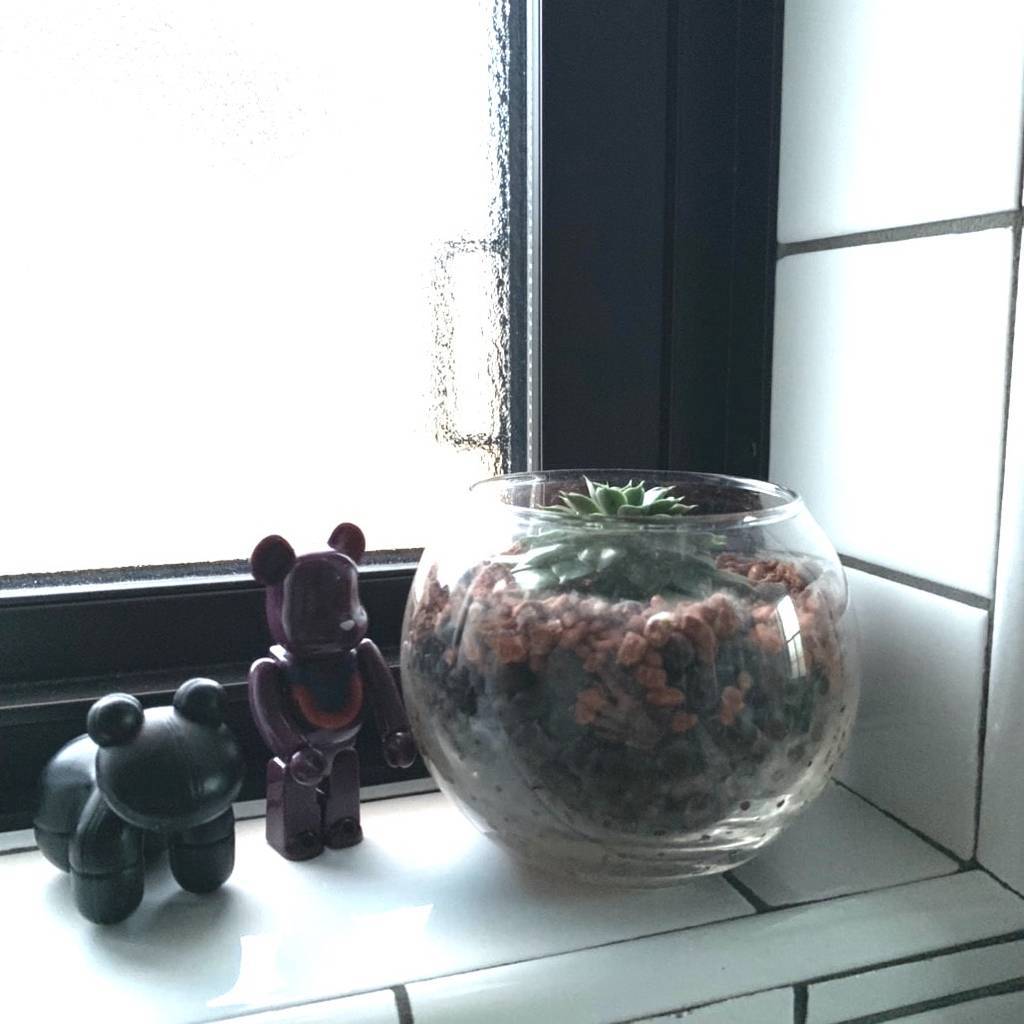 f:id:mashley_slt:20181219000828j:plain