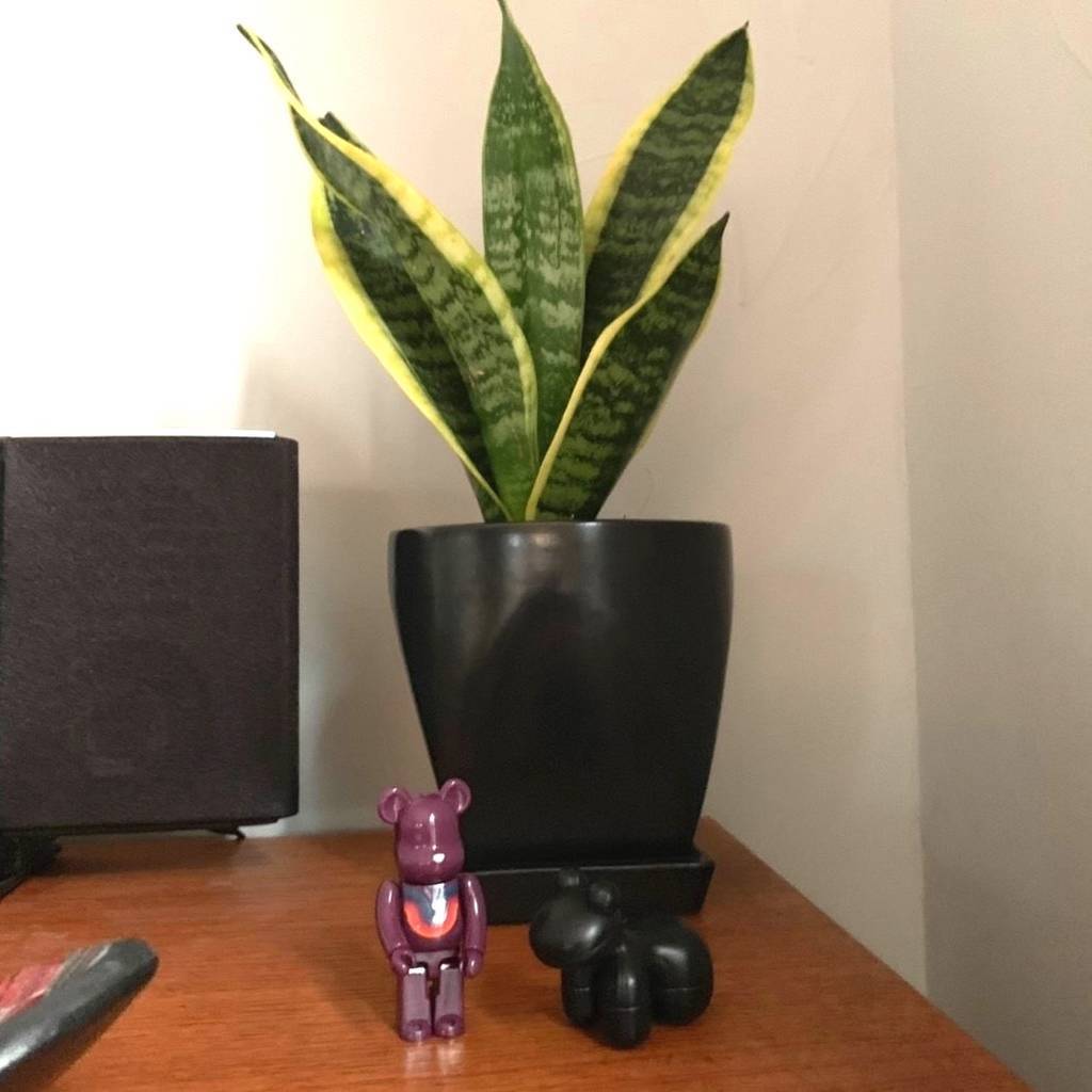 f:id:mashley_slt:20181219001014j:plain