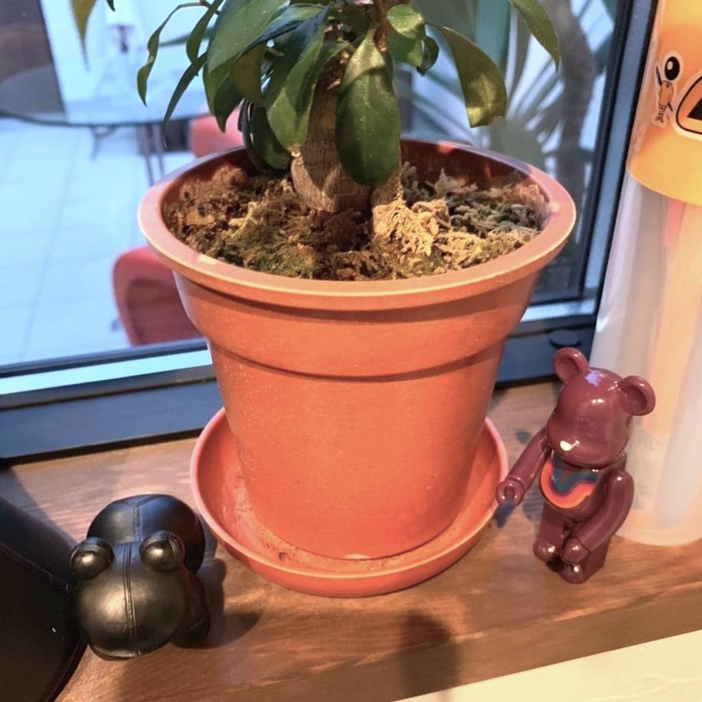 f:id:mashley_slt:20181219001149j:plain