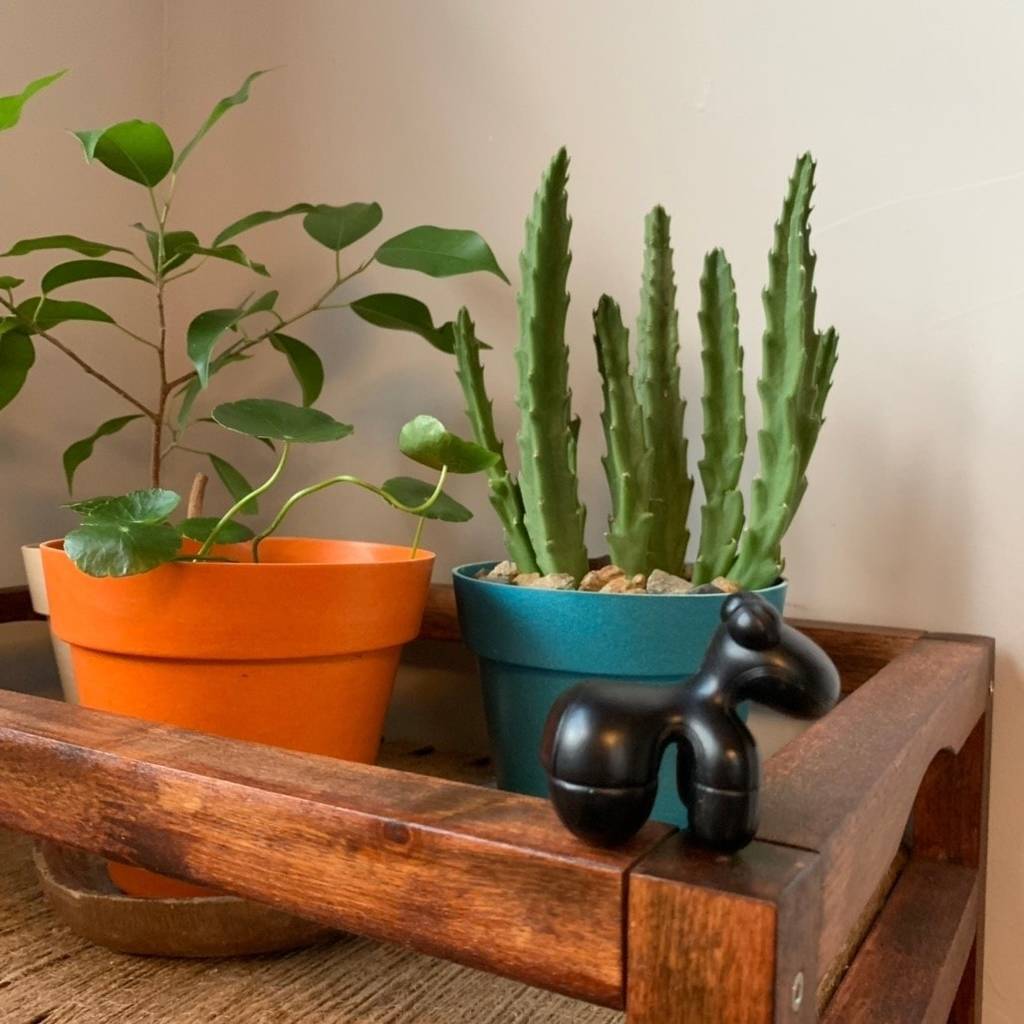 f:id:mashley_slt:20181219001240j:plain